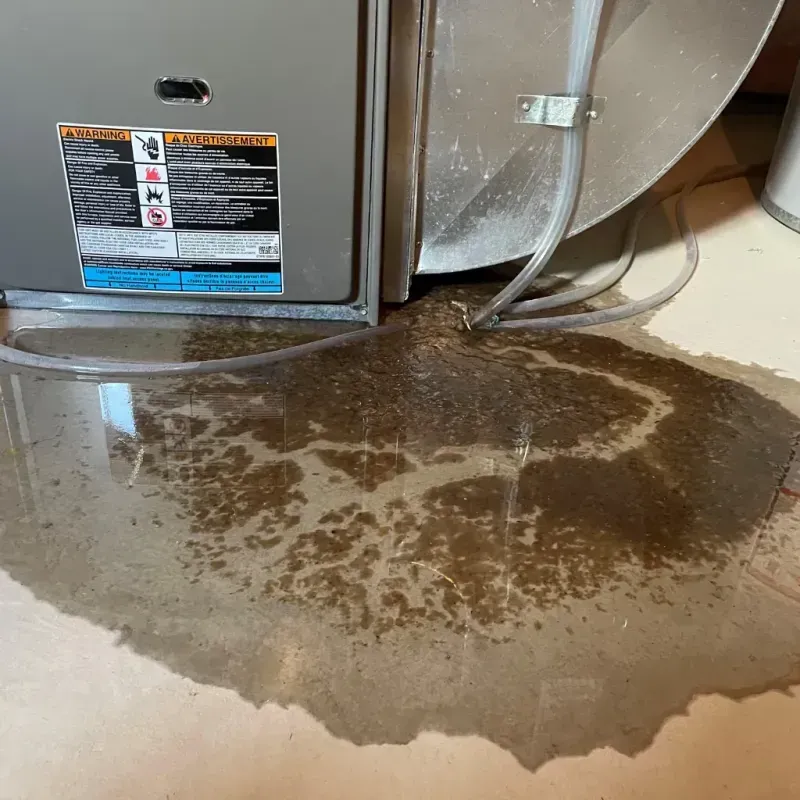 Appliance Leak Cleanup in Perry County, IN